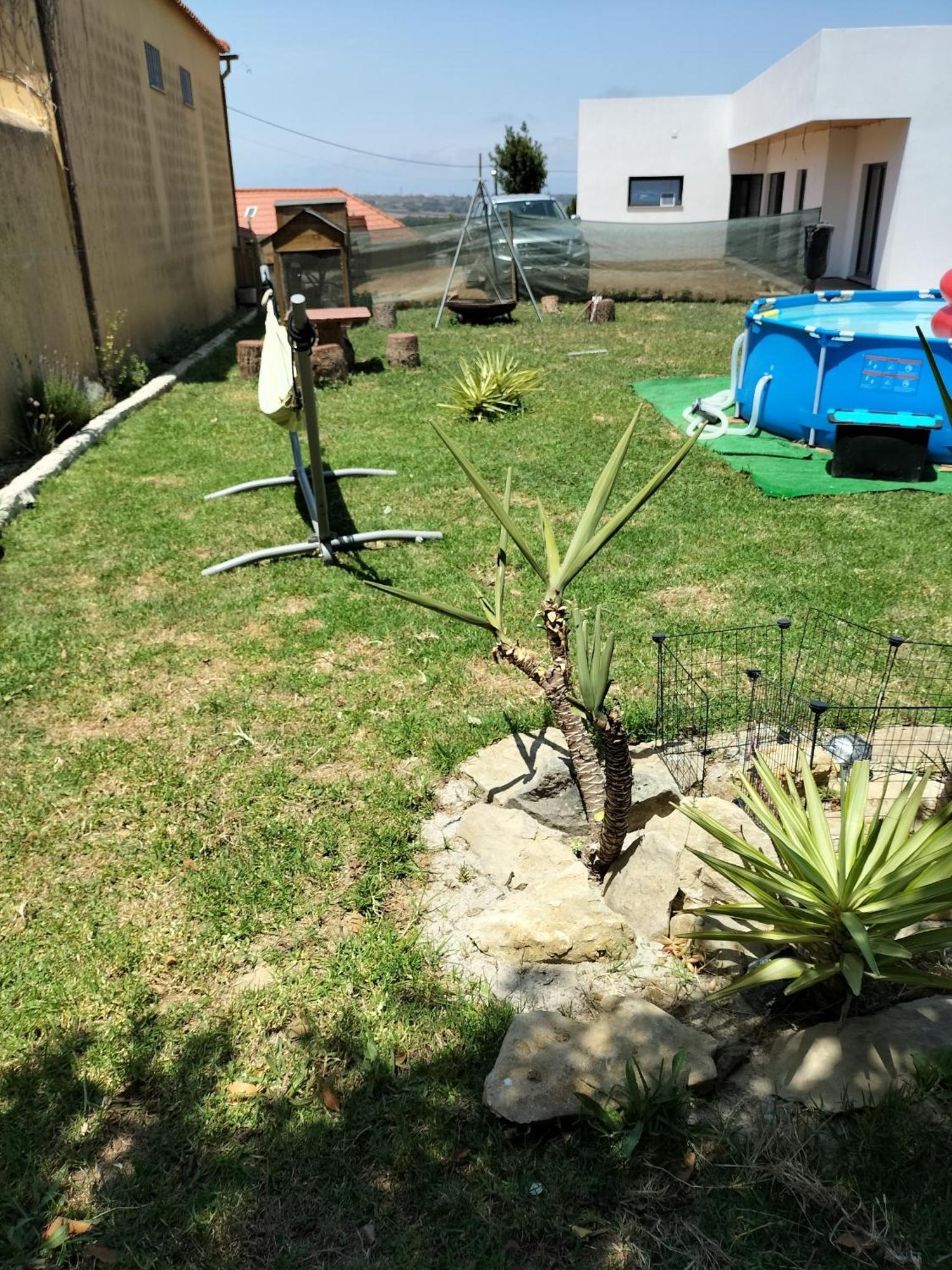 Affittacamere Dinocamp Lourinhã Esterno foto